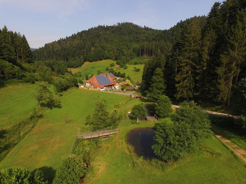 Appartement Muellerjoergenhof à Gutach Extérieur photo